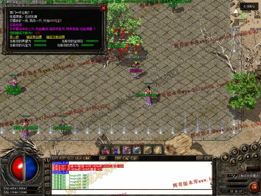 00011.jpg
