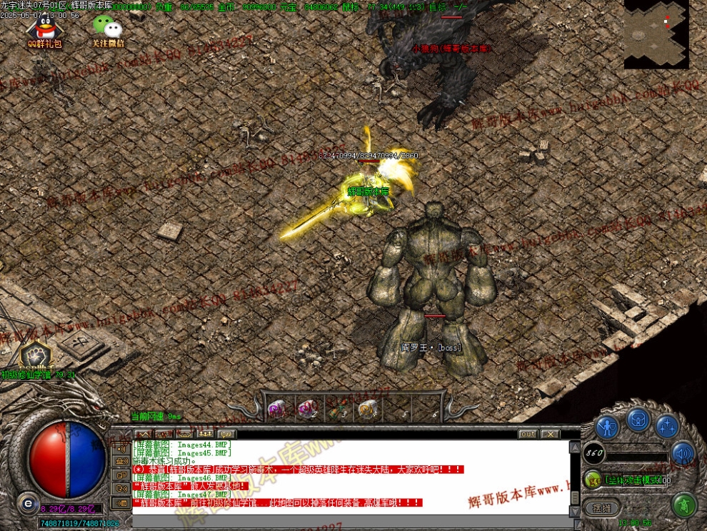 00049.jpg