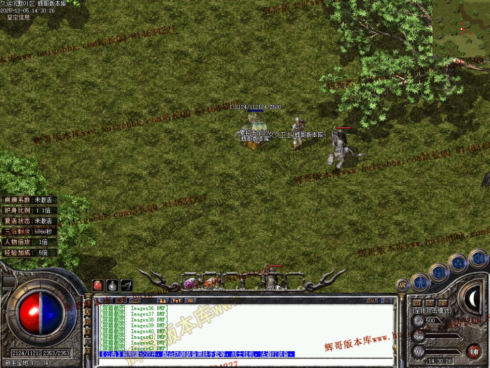 00045.jpg