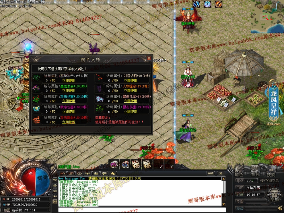 00016.jpg